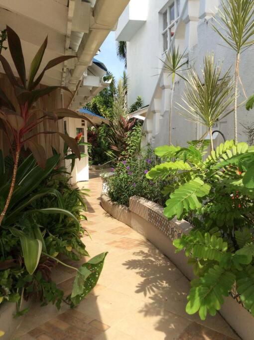 Lush Tropical Apartment Located In A 4-Star Resort Runaway Bay Buitenkant foto