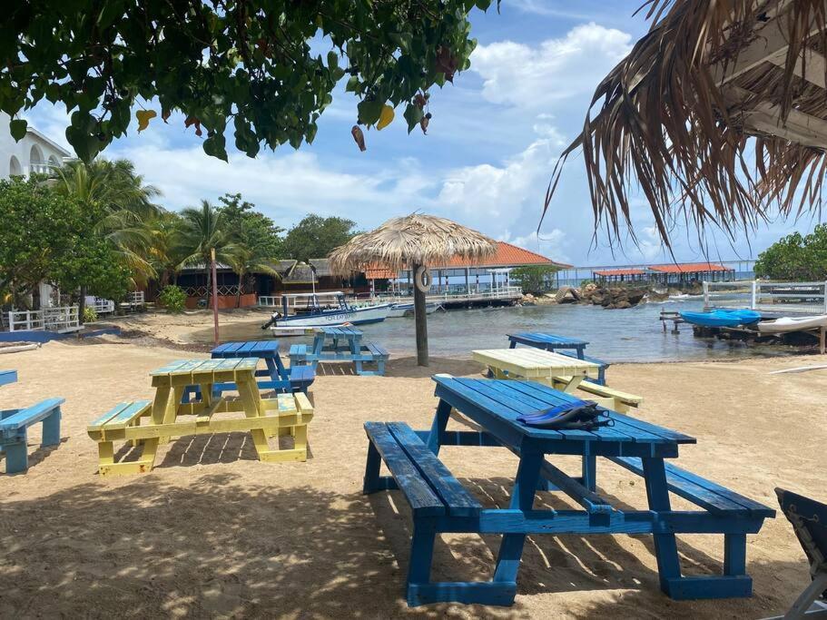 Lush Tropical Apartment Located In A 4-Star Resort Runaway Bay Buitenkant foto
